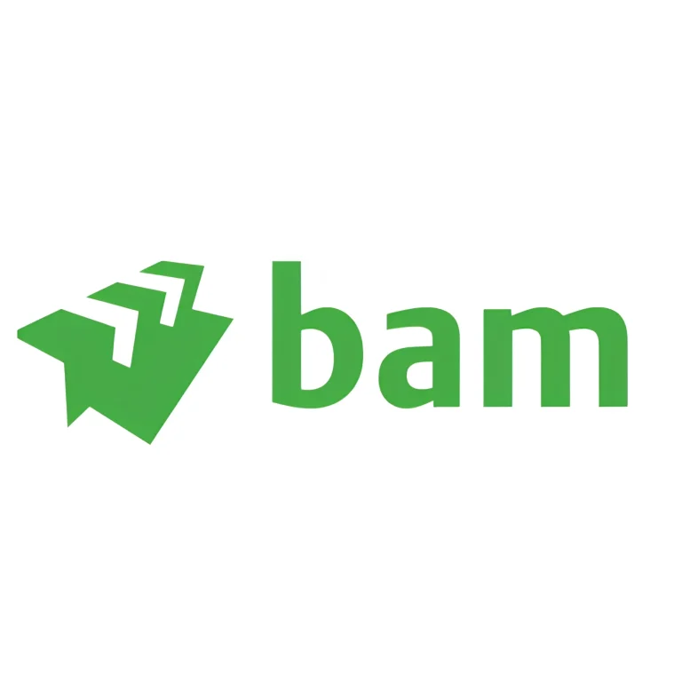 Bam logo (WebP)